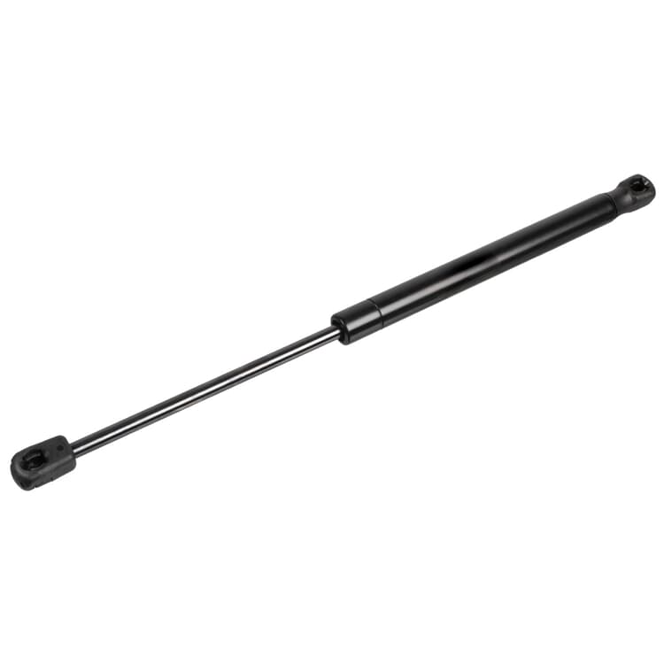 Febi Gasfeder f?r Heckklappe Renault Clio Suzuki Alto Febi Gasfeder f?r Heckklappe Renault Clio Suzuki Alto von FEBI BILSTEIN
