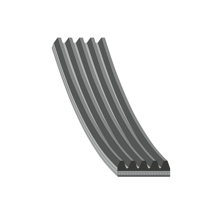Febi Keilrippenriemen Audi A4 A6 Skoda Superb VW Passat Febi Keilrippenriemen Audi A4 A6 Skoda Superb VW Passat von FEBI BILSTEIN