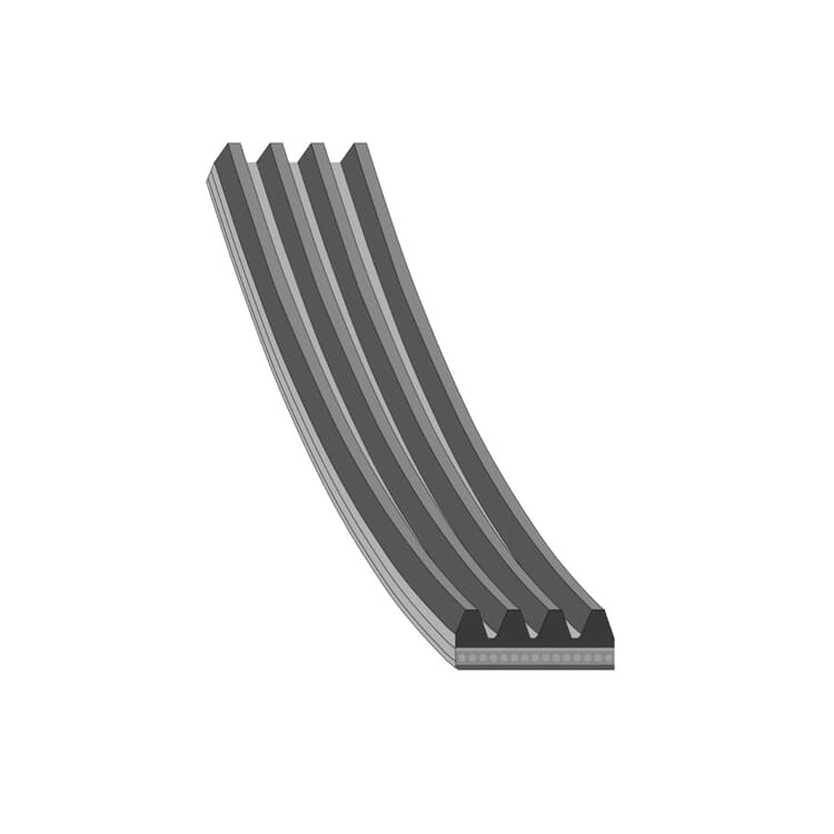 Febi Keilrippenriemen Renault Megane Febi Keilrippenriemen Renault Megane von FEBI BILSTEIN