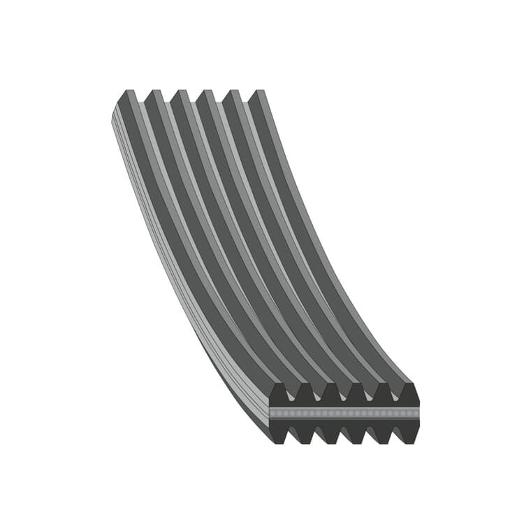 Febi Keilrippenriemen Seat Toledo VW Bora Golf Febi Keilrippenriemen Seat Toledo VW Bora Golf von FEBI BILSTEIN