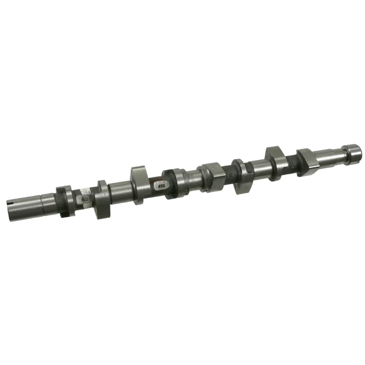 Febi Nockenwelle Renault Clio Kangoo Megane Sc?nic Febi Nockenwelle Renault Clio Kangoo Megane Sc?nic von FEBI BILSTEIN
