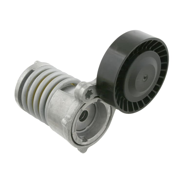 Febi Riemenspanner f?r Keilrippenriemen Ford Focus Volvo C30 C70 S40 V50 Febi Riemenspanner f?r Keilrippenriemen Ford Focus Volvo C30 C70 S40 V50 von FEBI BILSTEIN