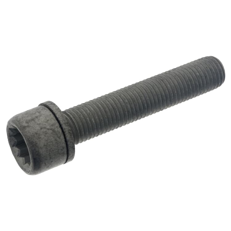 1 Febi Schraube f?r Bremssattel hinten Audi Seat Skoda VW 1 Febi Schraube f?r Bremssattel hinten Audi Seat Skoda VW von FEBI BILSTEIN