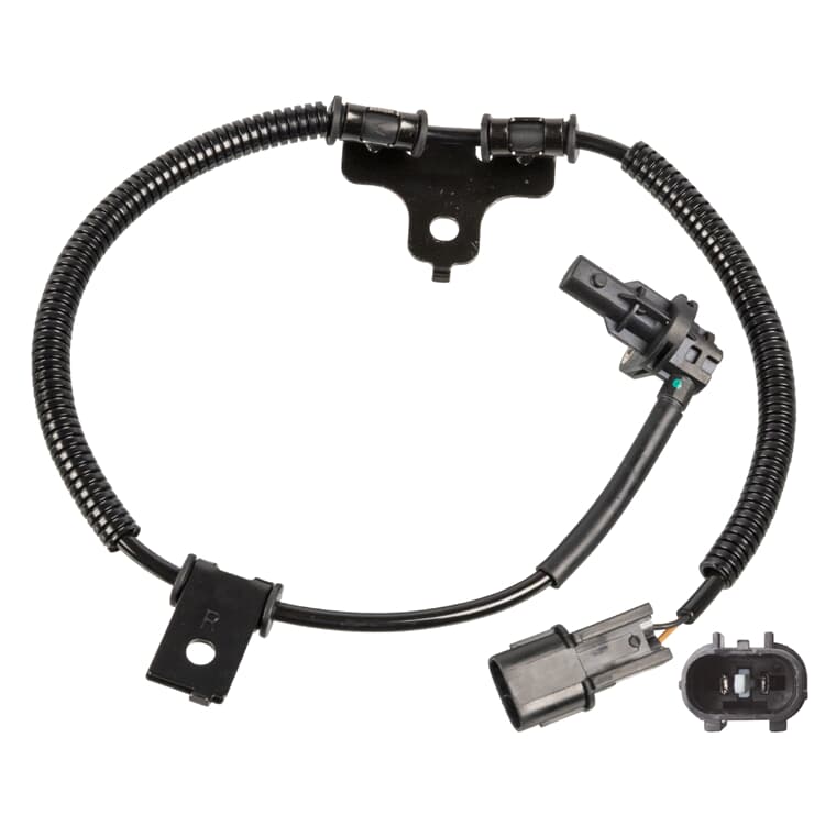 Febi Sensorring f?r ABS Kia Picanto Febi Sensorring f?r ABS Kia Picanto von FEBI BILSTEIN