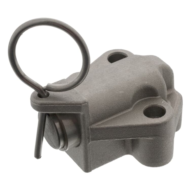 Febi Spanner f?r Steuerkette Chevrolet Citroen Fiat Ford Opel Peugeot Suzuki Febi Spanner f?r Steuerkette Chevrolet Citroen Fiat Ford Opel Peugeot Suzuki von FEBI BILSTEIN