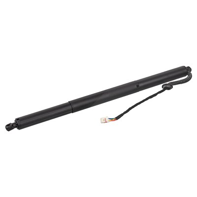 Febi Bilstein Gasfeder, Koffer-/Laderaum [Hersteller-Nr. 179324] für VW von FEBI BILSTEIN