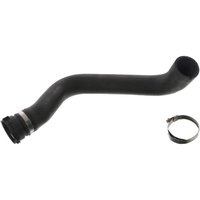 Kühlerschlauch FEBI BILSTEIN 49746 Kühlerschlauch FEBI BILSTEIN 49746 von Febi