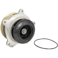 Kühlmittelpumpe FEBI BILSTEIN 49058 Kühlmittelpumpe FEBI BILSTEIN 49058 von Febi
