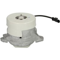 Motorträger FEBI BILSTEIN 109378 von Febi