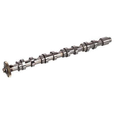 Febi Bilstein Nockenwelle [Hersteller-Nr. 171969] für Audi, Seat, Skoda, VW von FEBI BILSTEIN
