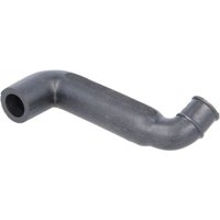 Schlauch, Kurbelgehäuseentlüftung FEBI BILSTEIN 33862 Schlauch, Kurbelgehäuseentlüftung FEBI BILSTEIN 33862 von Febi