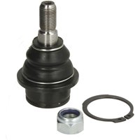 Traggelenk FEBI BILSTEIN 21999 von Febi