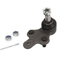 Traggelenk FEBI BILSTEIN 23109 von Febi