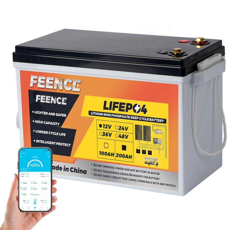 MINI Lithium Batterie 12V 200Ah lifepo4 mit BMS Bluetooth 200A, Autobatterie Lifepo4 200Ah 15000 Zyklen 2560Wh Deep Cycle Lithiumbatterie, perfekt für Wohnmobile,Solaranlagen,Marine,Wohnwagen von FEENCE