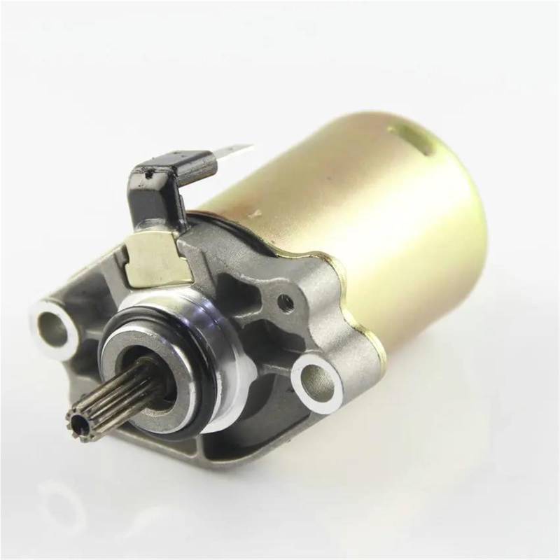 Anlasser Motor Für Atala Byte AT10 Hacker AT12 LC Racing Malaguti CR1 ATU 50 Spin GE Motorrad Zubehör Starter Motor Motorstarter Geeignet von FEILIV