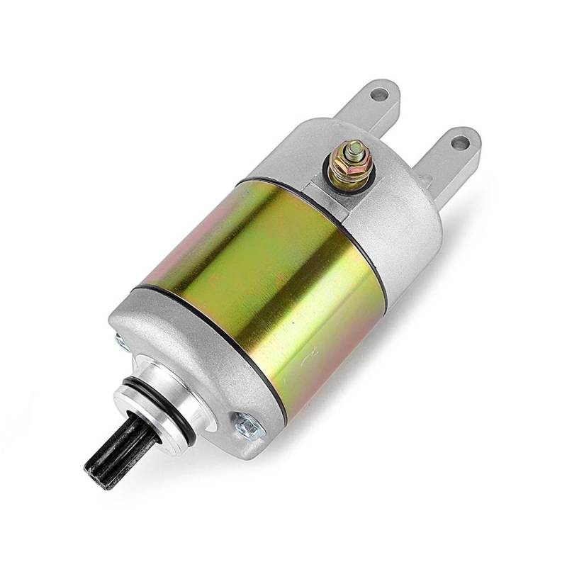 Anlasser Motor Für Malaguti Madison 250 X3M 125cc Madison Passwort 250cc Manco Talon Sportworks 260cc 300cc 2x4 4x4 ATV UTV Starter Motor Motorstarter Geeignet von FEILIV