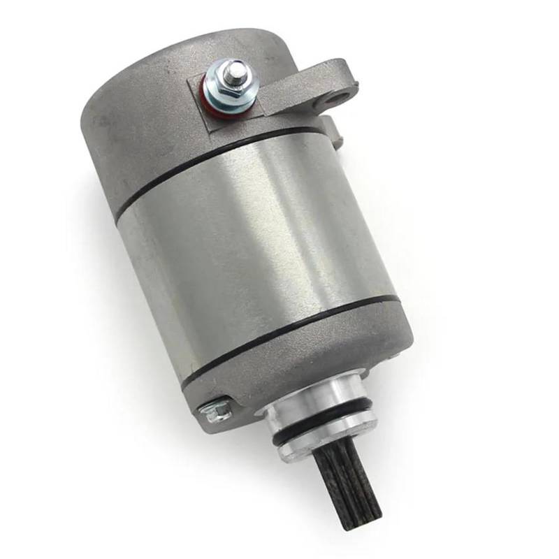 Anlasser Motor Für TRX250 TRX250TM TRX250TE TRX250X TRX250EX Recon Sportrax 250 31200-HM8-003 31200-HM8-A41 12V Motorrad Starter Motor Motorstarter Geeignet von FEILIV