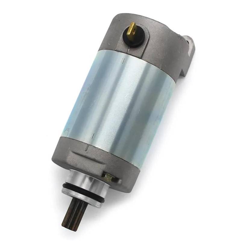 Anlasser Motor Für XT250 XG250 YFM25R Serow Tricker Raptor 250 Special Edition 2 3C5-81890-00 Moto Teile 12V Motorrad Starter Motor Motorstarter Geeignet von FEILIV