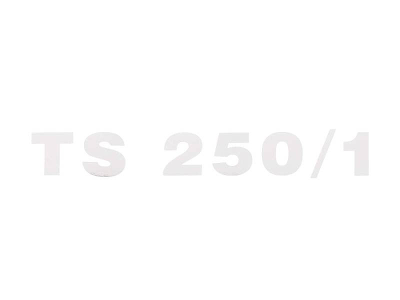 FEZ Schriftzug (Folie) ""TS 250/1"" chrom für Seitendeckel - für MZ TS250/1 von FEZ
