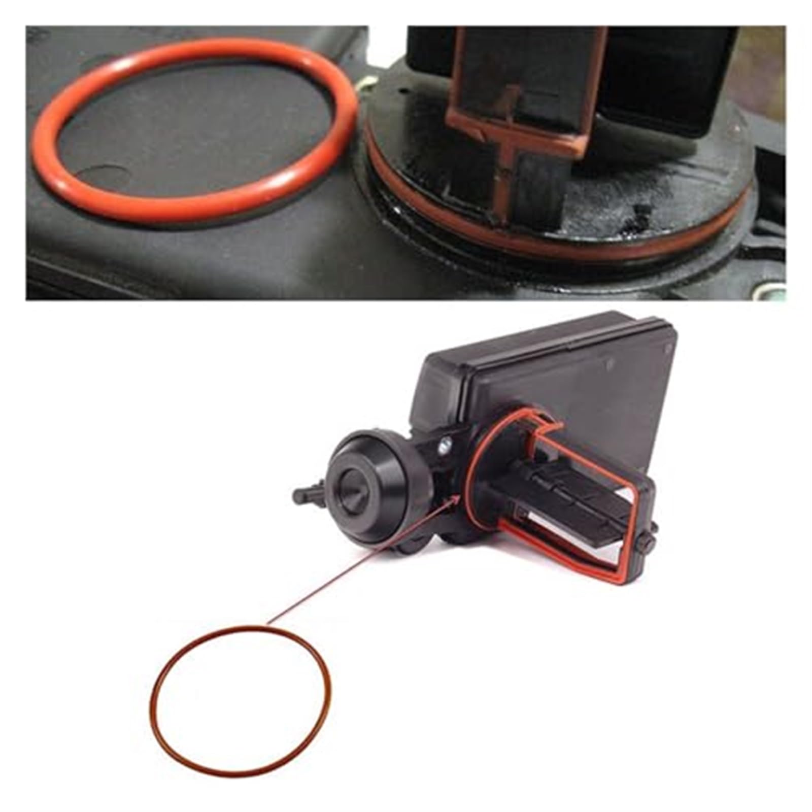 Ansaugschlauch Für Ansaugkrümmer für E46 E60 E56 E83 mit M54-Motorventil-O-Ring Ansaugschlauch Für Ansaugkrümmer für E46 E60 E56 E83 mit M54-Motorventil-O-Ring von FGKDLDZCZM