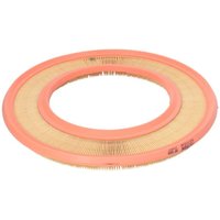 Luftfilter FILTRON AP008 von Filtron