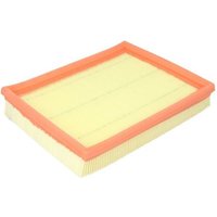 Luftfilter FILTRON AP071 Luftfilter FILTRON AP071 von Filtron