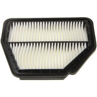 Luftfilter FILTRON AP109/3 Luftfilter FILTRON AP109/3 von Filtron