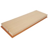 Innenraumfilter FLEETGUARD AF27866 Innenraumfilter FLEETGUARD AF27866 von Fleetguard