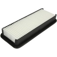Luftfilter FLEETGUARD AF55758 Luftfilter FLEETGUARD AF55758 von Fleetguard