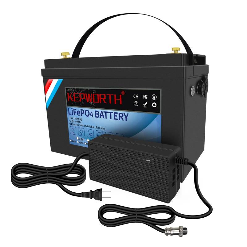 12V 100Ah LiFePO4 Batterie Akku, wiederaufladbare Lithium Deep-cycle-batterien mit 100A BMS, geringe Selbstentladung, für solaranlage wohnmobil,solarspeicher, Camping von FLLEEYPOWER