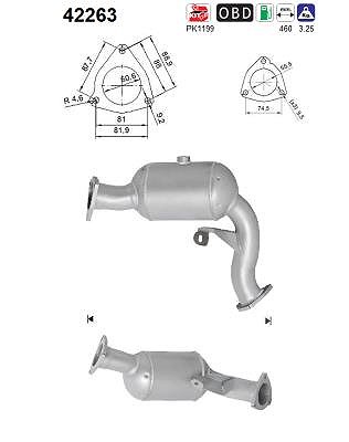 Fppl Katalysator [Hersteller-Nr. 42263] für Audi von FPPL