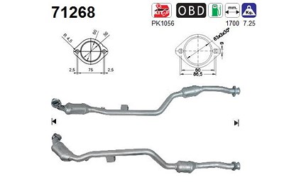 Fppl Katalysator [Hersteller-Nr. 71268] für Mercedes-Benz von FPPL