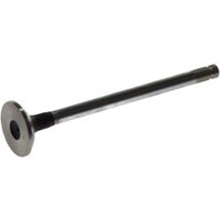 Auslaßventil FRECCIA R4229/RCR Auslaßventil FRECCIA R4229/RCR von Freccia