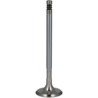 Auslaßventil FRECCIA R6392/BMARCR von Freccia