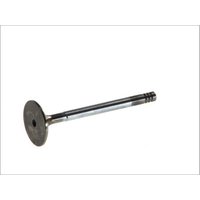 Einlaßventil FRECCIA R6179/SCR Einlaßventil FRECCIA R6179/SCR von Freccia