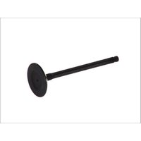Einlaßventil FRECCIA R6599/SNT Einlaßventil FRECCIA R6599/SNT von Freccia