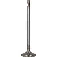 Einlaßventil FRECCIA R6787/SCR Einlaßventil FRECCIA R6787/SCR von Freccia
