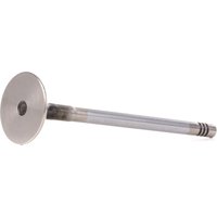 FRECCIA Auslaßventil Ventilschaft verchromt R6207/BMCR VW,AUDI,SKODA,Golf V Schrägheck (1K1),Golf VII Schrägheck (5G1, BQ1, BE1, BE2) FRECCIA Auslaßventil Ventilschaft verchromt R6207/BMCR VW,AUDI,SKODA,Golf V Schrägheck (1K1),Golf VII Schrägheck (5G1, BQ1, BE1, BE2) von FRECCIA