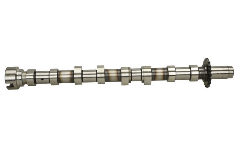 FRECCIA Nockenwelle FORD,FIAT,PEUGEOT CM05-2175 30725026,0801AE,9645976580 1231970,1495923,1683721,3M5Q6A273BB von FRECCIA