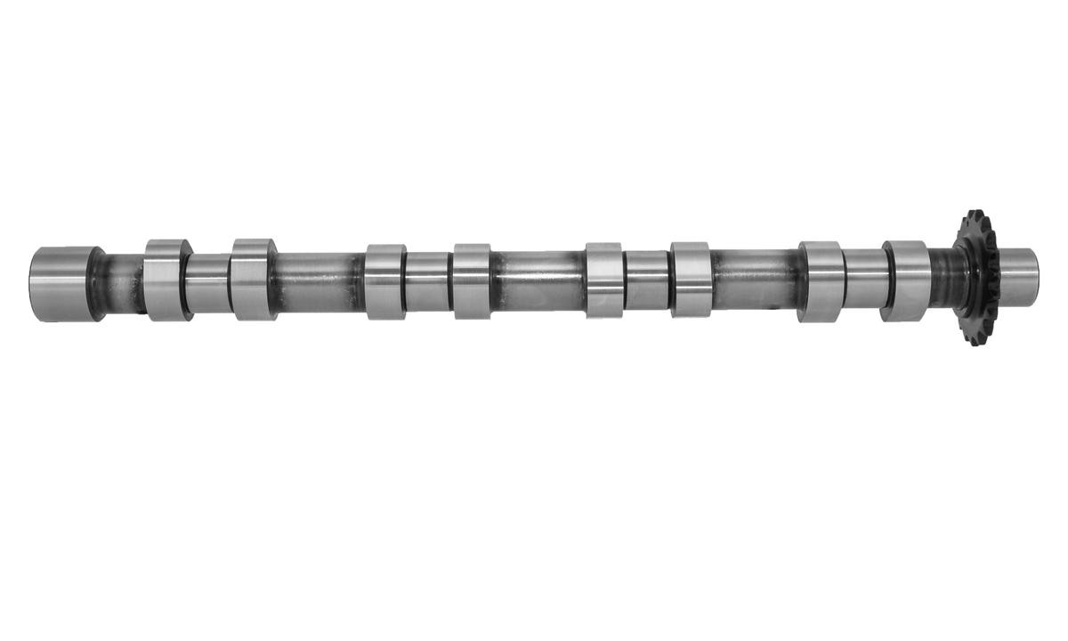 FRECCIA Nockenwelle FORD,FIAT,PEUGEOT CM05-2176 1707012,3M5Q6A27000,3M5Q6A270BA 3M5Q6A270BB,0801AC,9644216280,1231969,1683717 FRECCIA Nockenwelle FORD,FIAT,PEUGEOT CM05-2176 1707012,3M5Q6A27000,3M5Q6A270BA 3M5Q6A270BB,0801AC,9644216280,1231969,1683717 von FRECCIA