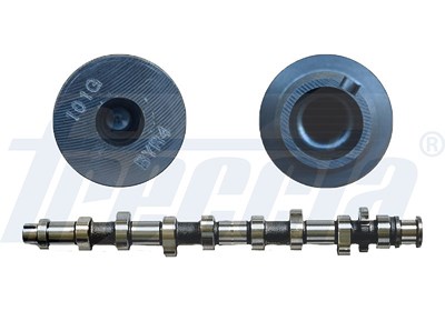 Freccia Nockenwelle [Hersteller-Nr. CM05-2191] für Hyundai, Kia von FRECCIA