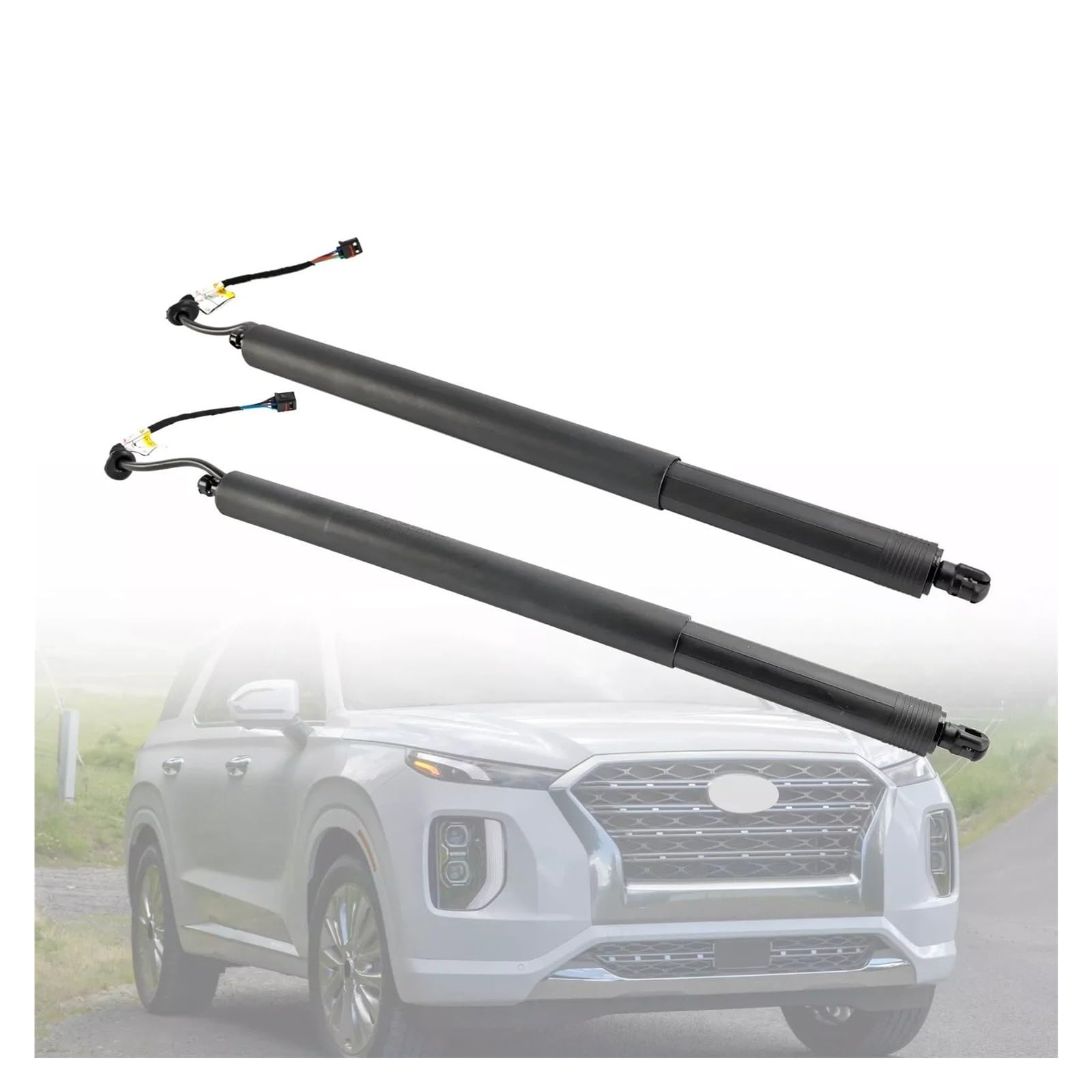 Gasfeder Heckklappe 2 Stück 81831S1100 81841S1100 Hinten Links Rechts Heckklappe Elektrische Unterstützung Stangen Für Hyundai Für Santa Fe F19 Georgia 2019 2020-2021 Gasdruckdämpfer von FRVVPL