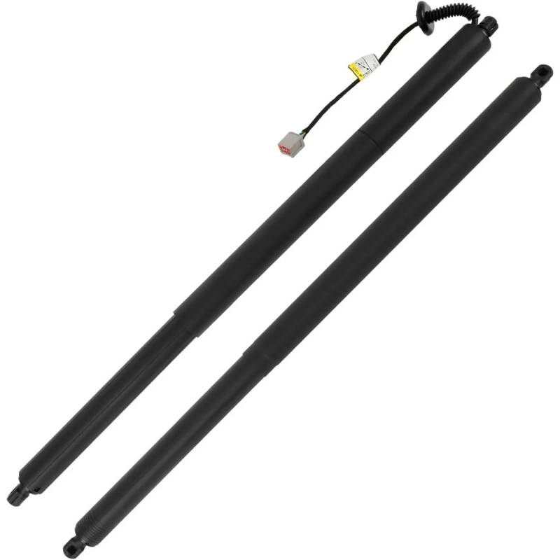 Gasfeder Heckklappe Hinten Links Heckklappe Power Hatch Lift Unterstützung Bar Für Ford Für Escape 2013 2014 2015 2016 2017 2018-2019 CJ54S402A55AD CJ5Z78406A10B Gasdruckdämpfer(Links) von FRVVPL