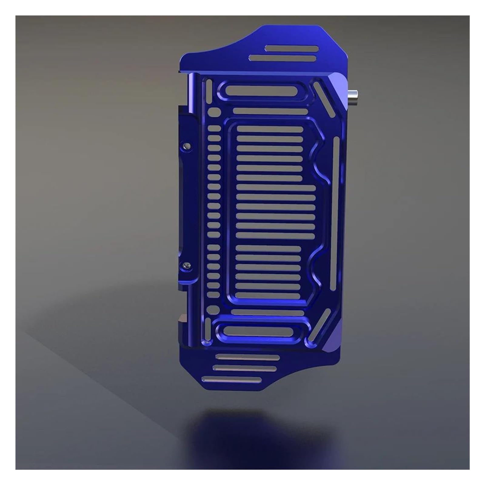 Montage Ohne Bohren Für CRF250L CRF250 L CRF 250 L LA RL CRF 250L 250LA CRF 250RL Zubehör Heizkörper Schutz Schutzhülle Grille Protector(Blue) von FSOZDBBPL