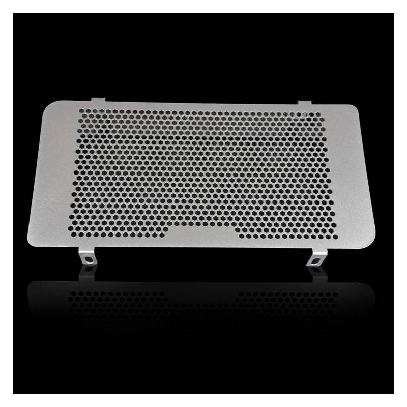 Montage Ohne Bohren Für Loncin Voge 500AC 525AC 525R 525DS 2022 2021 2019-2023 Motorrad Kühlergrill Wache Schutz Grill Abdeckung Schutz Net(Silver) von FSOZDBBPL