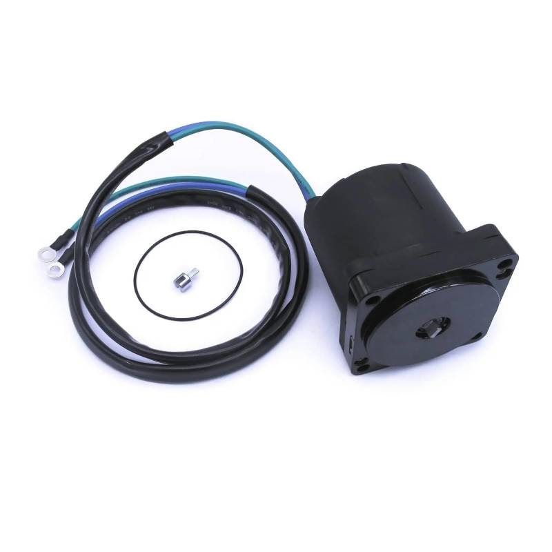 Anlasser Starter Anlassermotor Außenbordmotor Bootsmotor 38100-92J02 92J10 92J03 96J12 Power Trim Tilt Motor Mit Ring Für Suzuki DF60-DF300 60HP-300HP von FTJKKVV