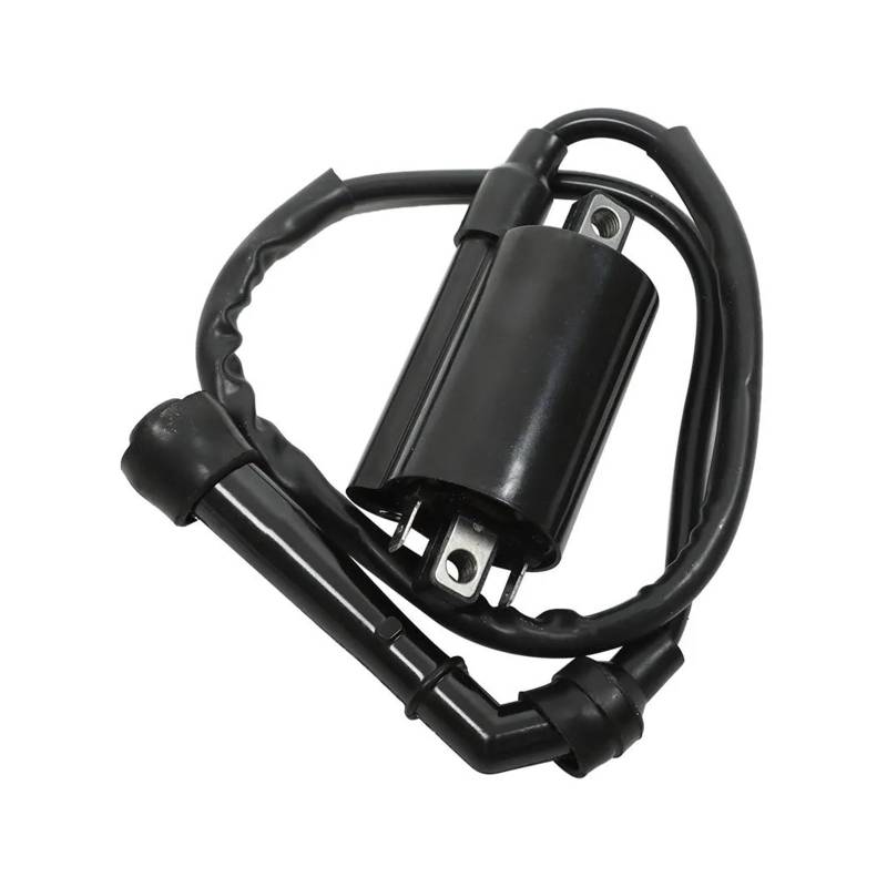 Zündspulenmodul Zündungen 2 X Zündspule Zündkerze Für Suzuki Für Intruder VS700 VS750 VS800 1986 1987 1988 1989 1990 1991 1992 1993 1994-2004 von FTJKKVV