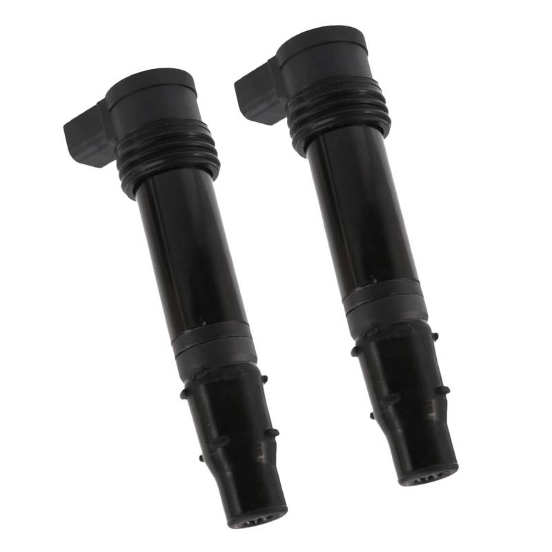 Zündspulenmodul Zündungen 2PCS Für Kawasaki Für ER6N EX650 Für Versys 650 KLE650A KLE650C ZR1000 Z10 Für Ninja 650R EX650J 05-14 2013 129700-4580 Zündspule von FTJKKVV