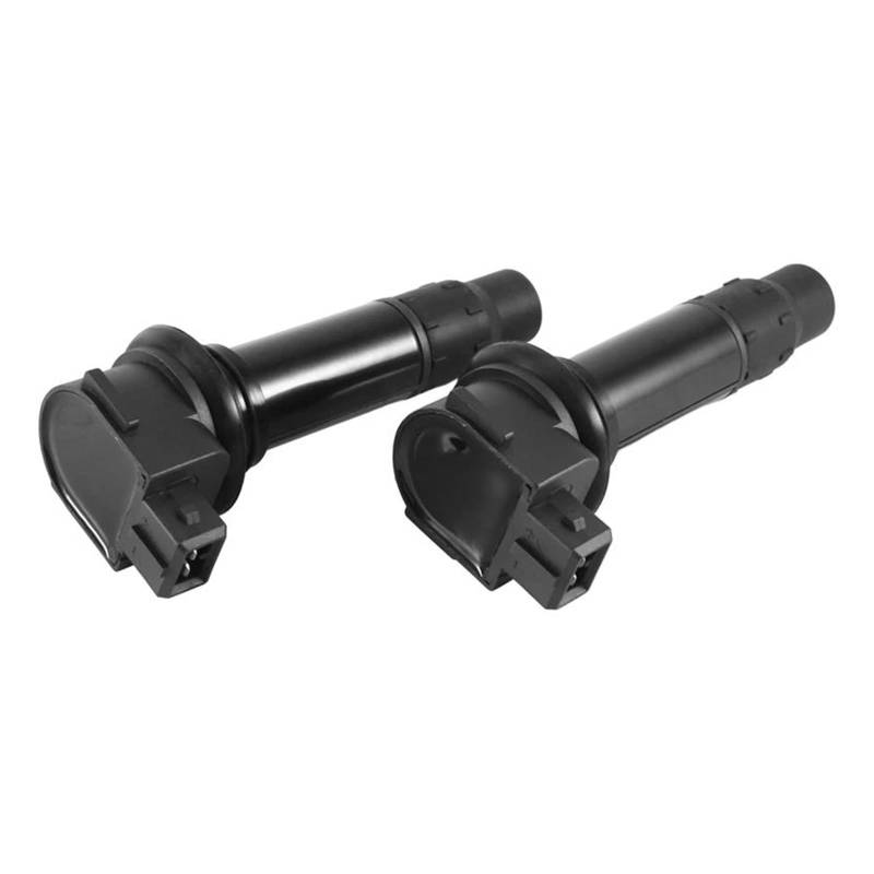 Zündspulenmodul Zündungen 2PCS Motorrad Teile Zündspule Für CFMOTO CF250NK CF250SR CF250-6 CF Für Moto 250NK 250SR 250-6 DMO-178000 ABS Zündspule von FTJKKVV