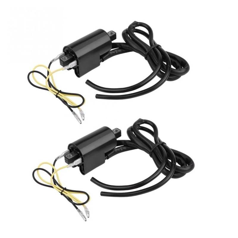 Zündspulenmodul Zündungen 2PCS Zündspule Motorrad Zündspule Für Suzuki GSF400 GSF600 GSF1200 Für Bandit Zubehör von FTJKKVV